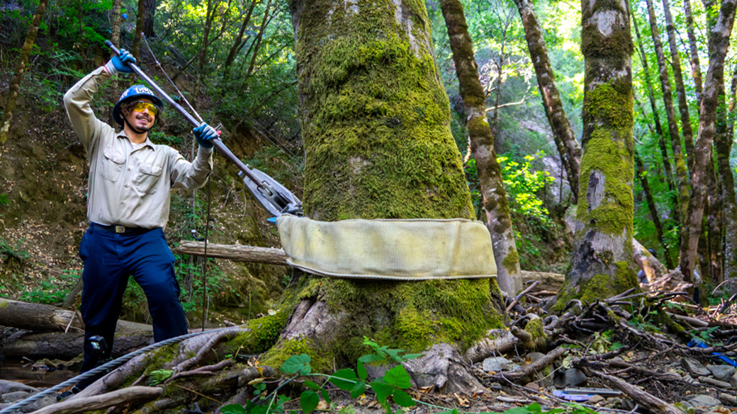 male using grip hoist wrapped around a tree