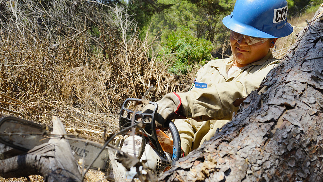 corpsmember using chain saw on tree branch
