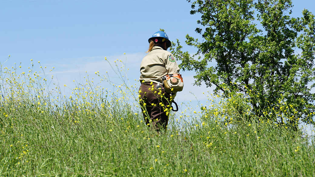 female holding weedwhacker atop hillside
