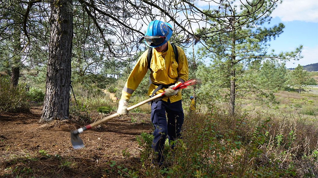 corpsmember in fire gear swinging a hand tool into vegetation