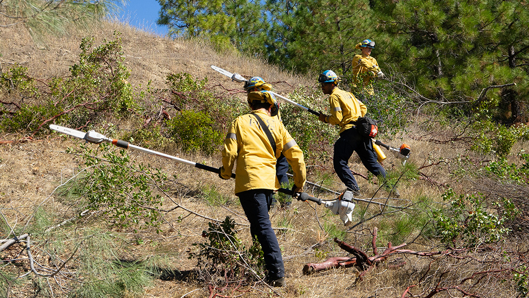 corpsmembers on trails with pole saws cutting vegetation