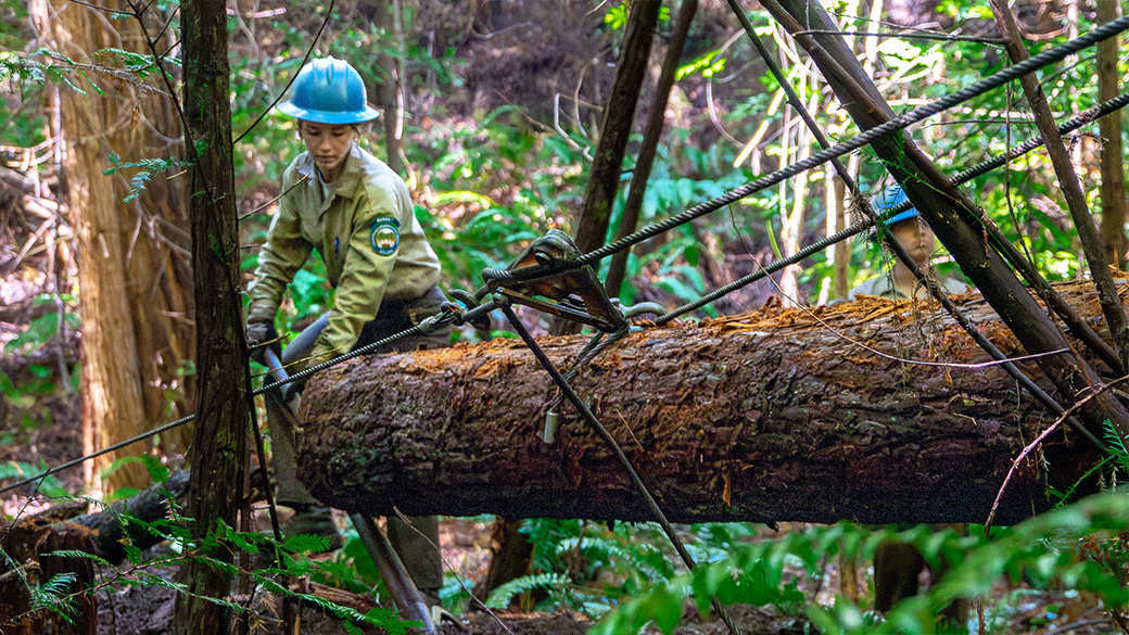 corpsmember in forest with pulleys attached to a tree