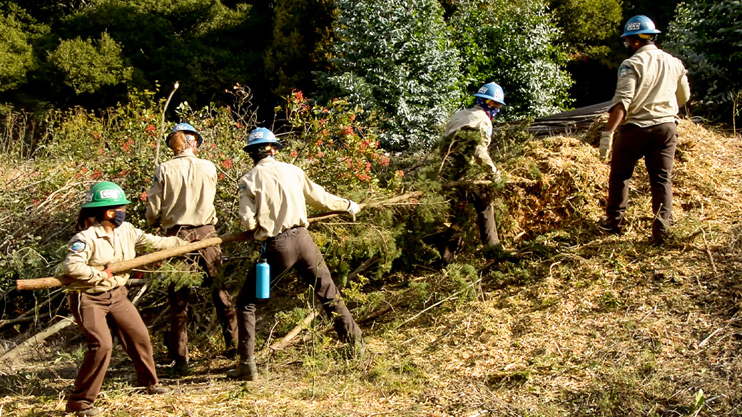 Corpsmembers work together to help reduce fire fuel.