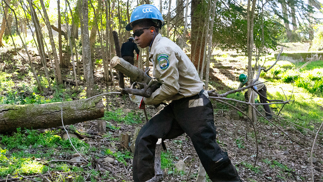 Corpsmember carrying tree limbs to the wood chipper.