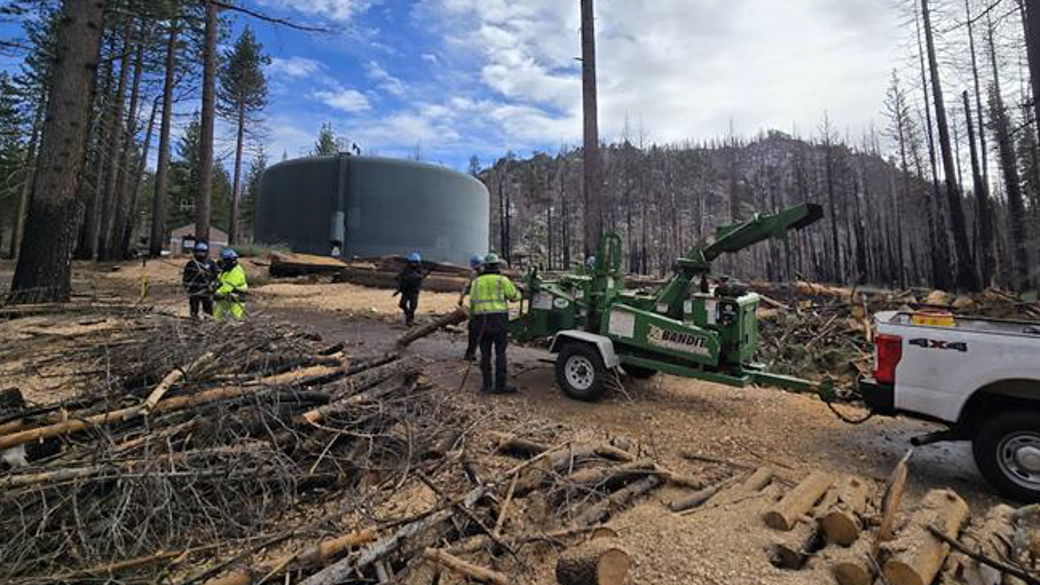 CCC Corpsmemembers remove dead trees, burnt during the Caldor Fire.