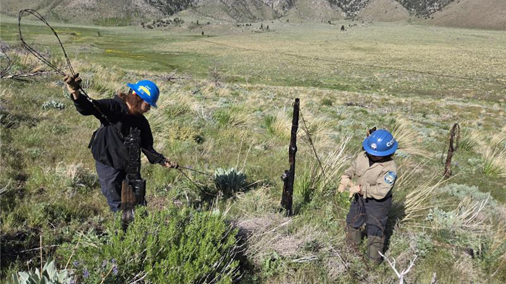 Monica Yup Chinchilla and Jasmine Diaz build beaver dams for fish habitat, specifically Lahontan Trout.