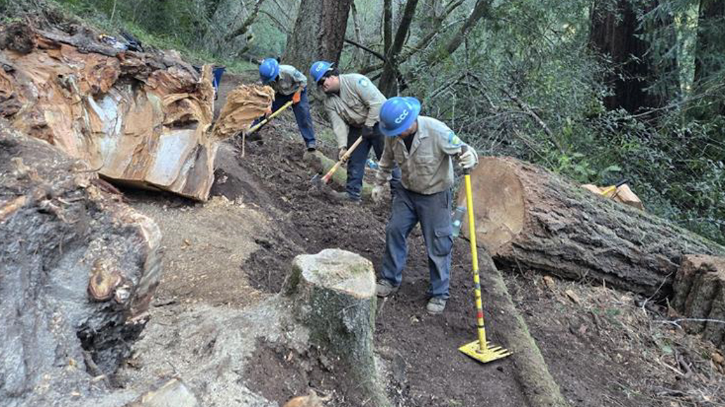 CCC Tahoe Corpsmembers complete trail work at at Samuel P Taylor State Park in Marin County.