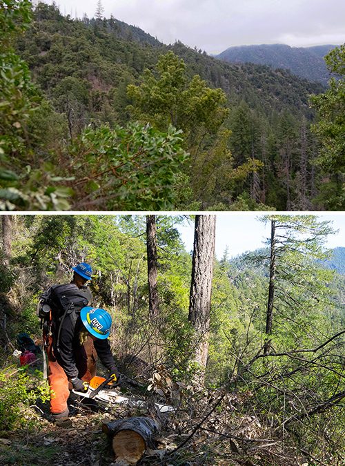 Siskiyou