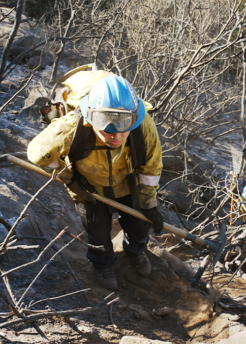 SideImage_Camarillo_500x700 Wildland firefighting corpsmember hiking uphill with hand tool.