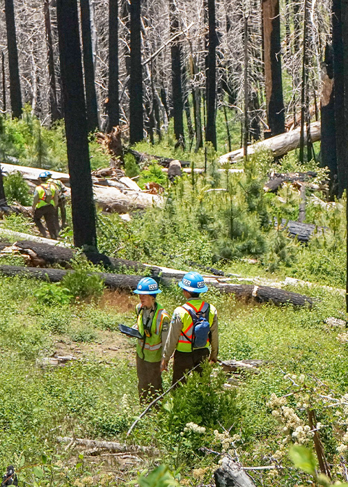 SideImage_Fresno_500x700 Fresno corpsmembers in a forest taking surveys