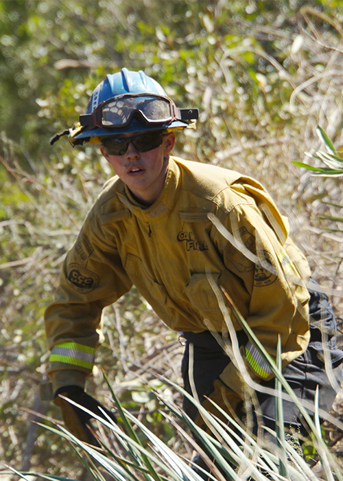 SideImage_Tahoe_500x700 Wildland firefighting Corpsmember walking up a hill.