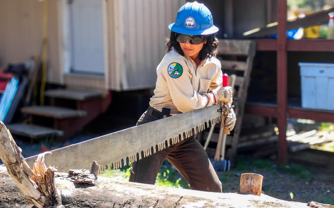 CCC Backcountry Trails Program Receives Merit Award