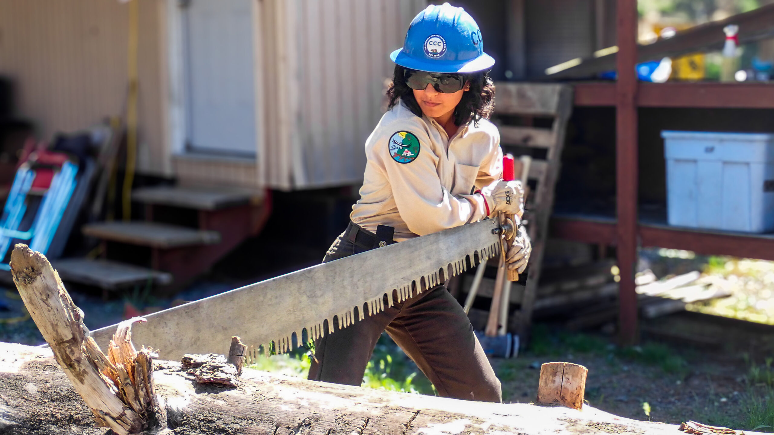 female using cross cut saw