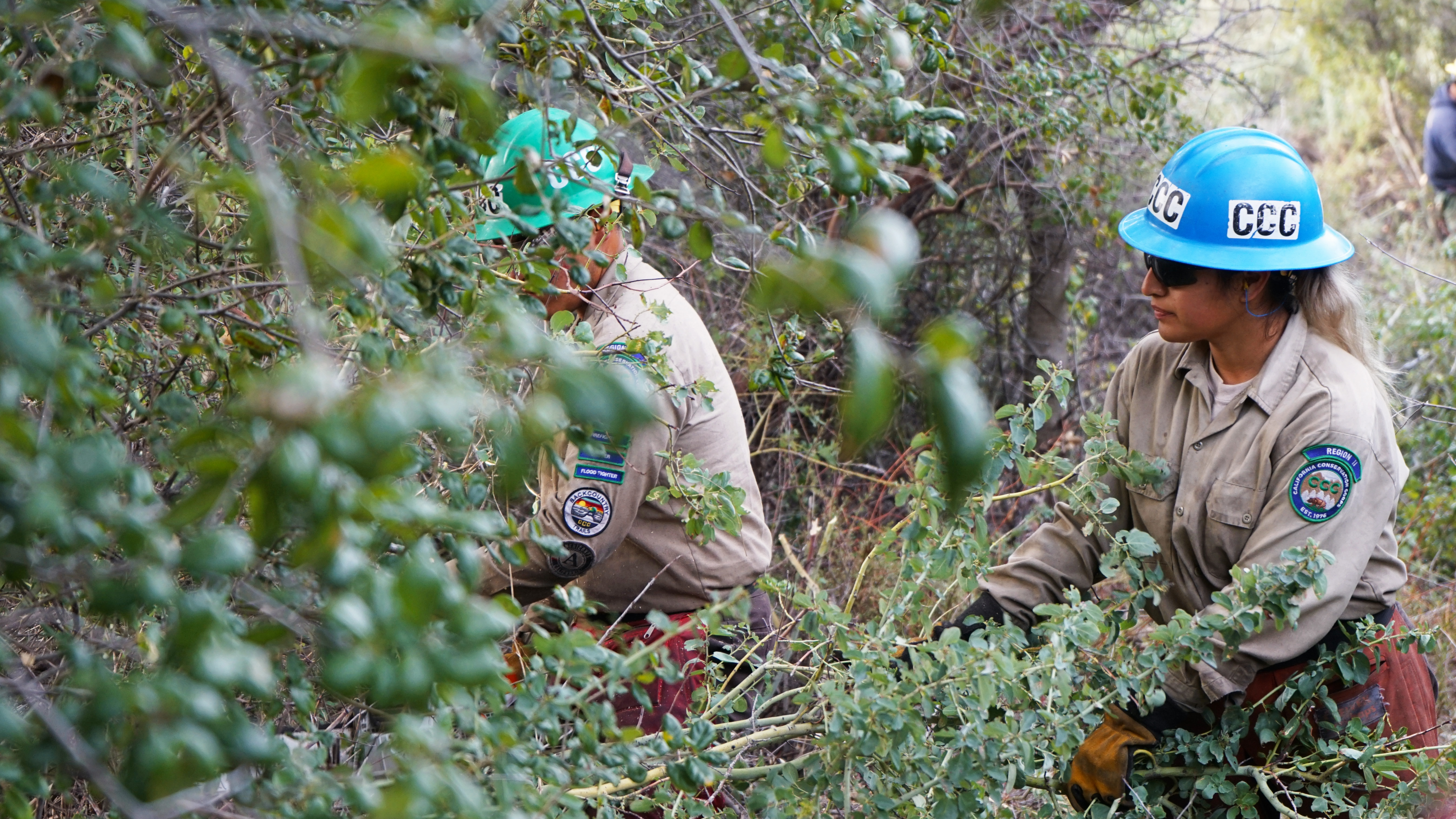 corpsmember cutting tree branches, another pulling them away