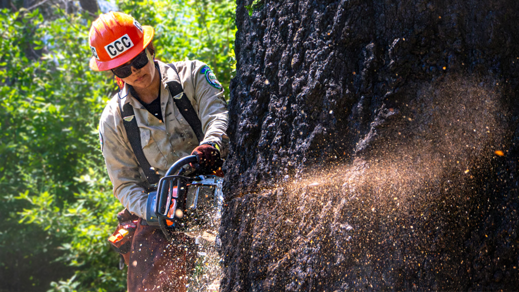 female corpsmember cutting tree with chain saw