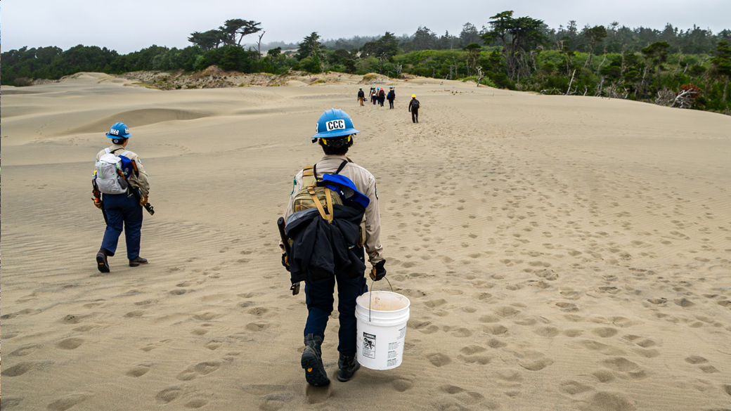 Pulling to Preserve Humboldt’s Pristine Dunes