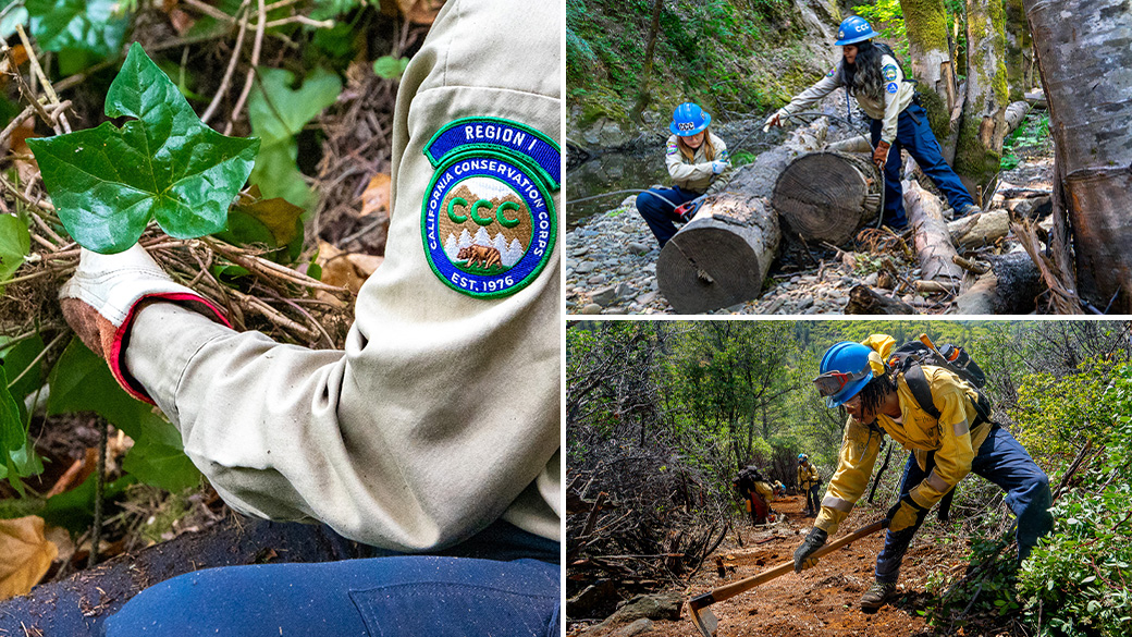MainImage_Training Conservation Programs Banner