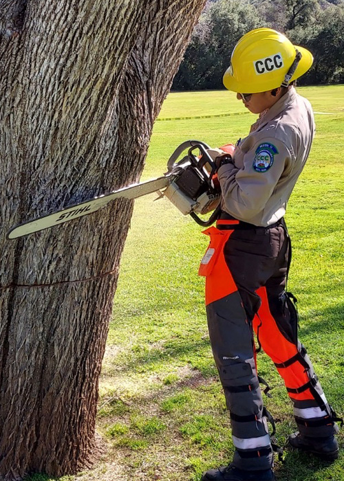 female holding chainsaw preparing to cut