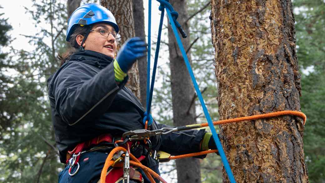 female in climbing gear attached to tree