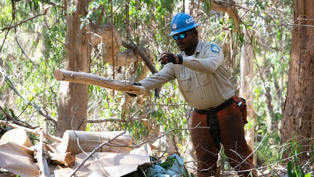 male in uniform tossing tree branches into a pile