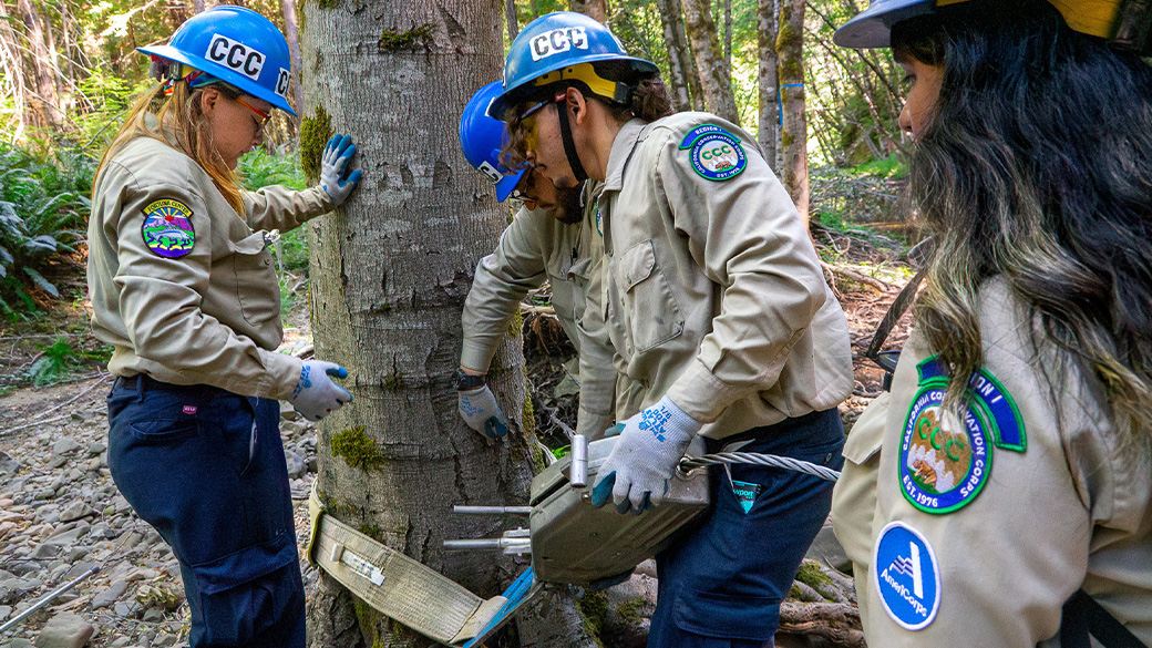 Getting a Grip on Restoring State’s Salmon Habitat