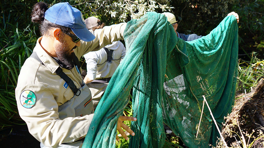 man wearing hat holding net