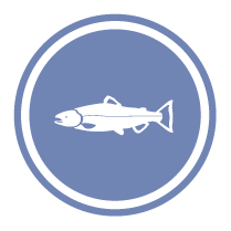 Veterans Fisheries icon