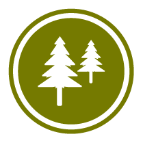 Forestry Icon