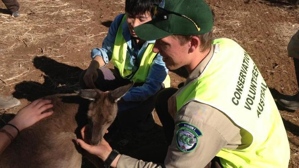 two men feeding and petting a kangaroo