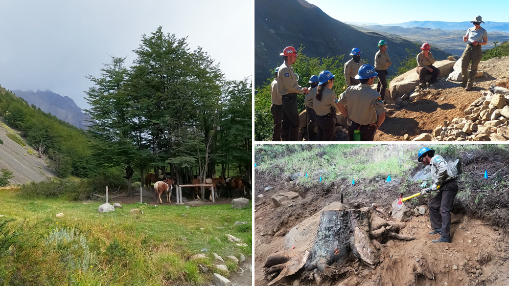 Global_Collage_Patagonia_2024_1040x585 Side image: horses in a field in a scenic photo. Top image: Corpsmembers standing on a trail above a valley listening to a local leader. Bottom image: male Corpsmember using axe on giant tree stump.