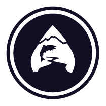 WSP icon