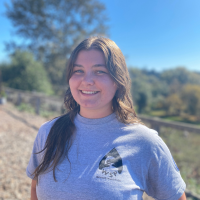 WSP - Alison Arntz