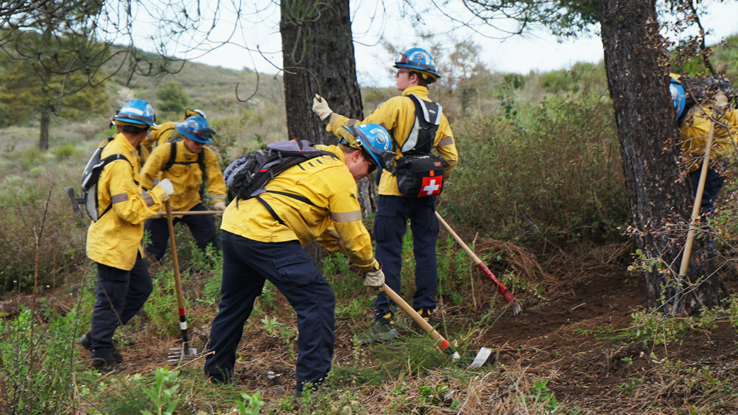 Corpsmembers working on a fuel reduction project.