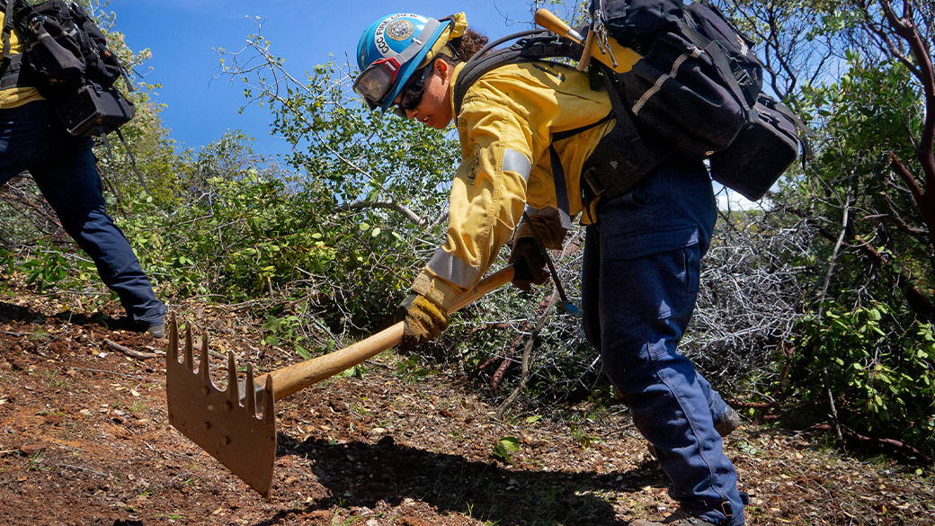Wildland firefighting Corpsmember using a McLeod.