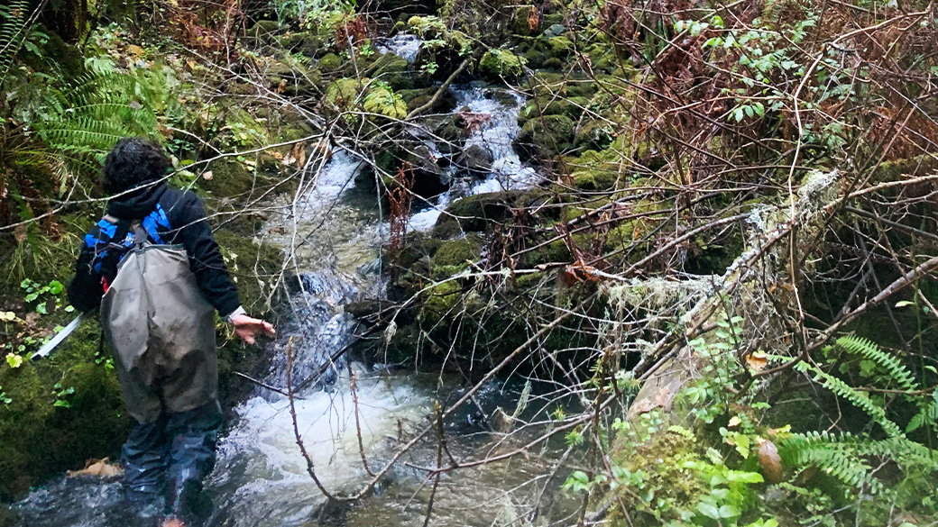 Veteran fisheries corpsmember stands in a creek.