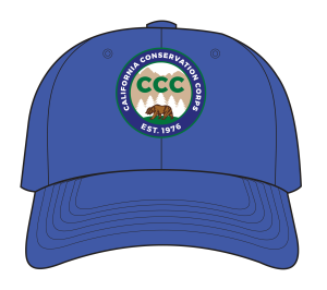 illustration of a blue hat
