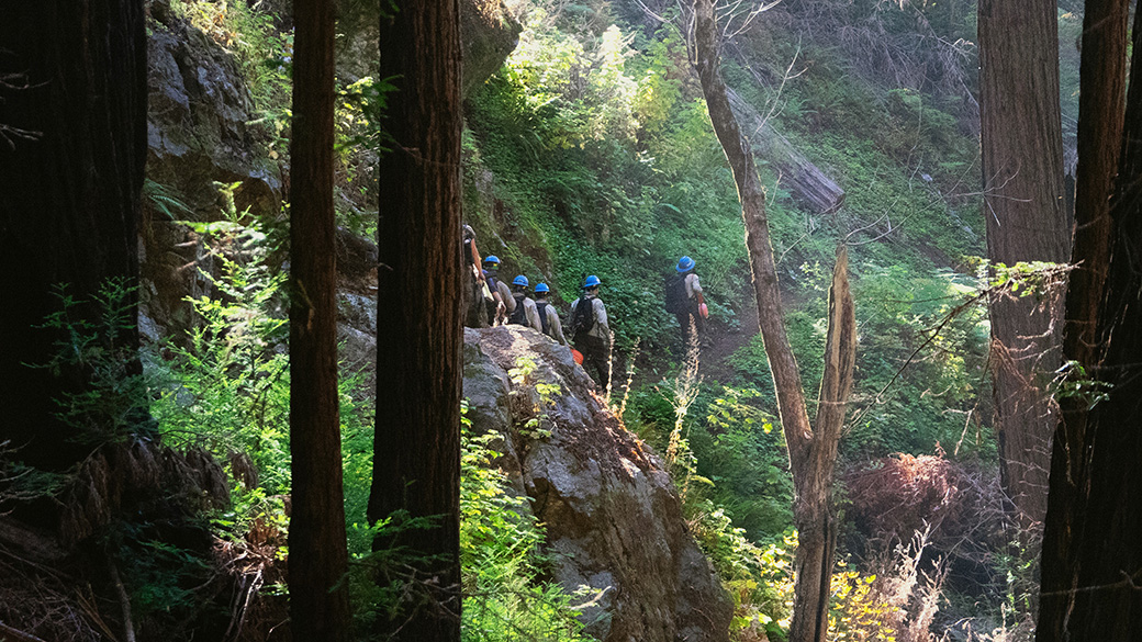 corpsmembers hiking in distance in green forest