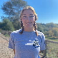 WSP - Phoebe Bertran