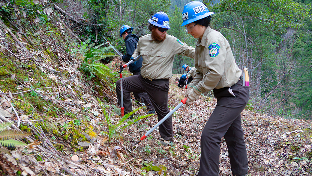 people in uniform standing on trail with hand tools for cutting vegetation