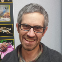 WSP - Colin Anderson