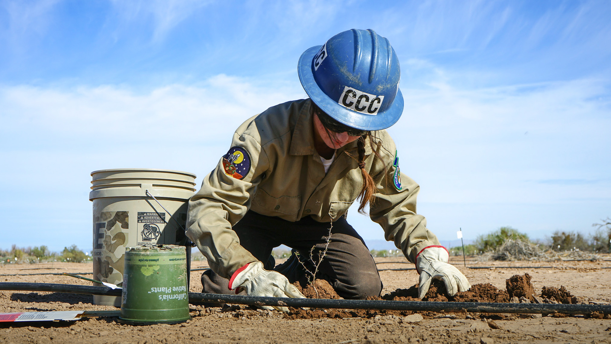 Corpsmember placing small plant in the ground.