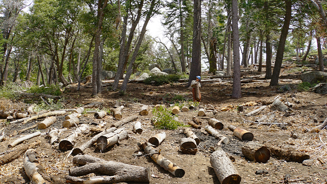 Corpsmembers clearing space for prescribed burn.