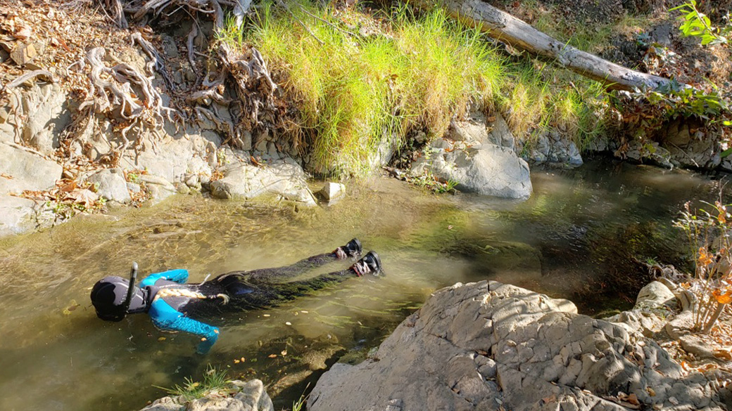 corpsmember in wetsuit face down in creek