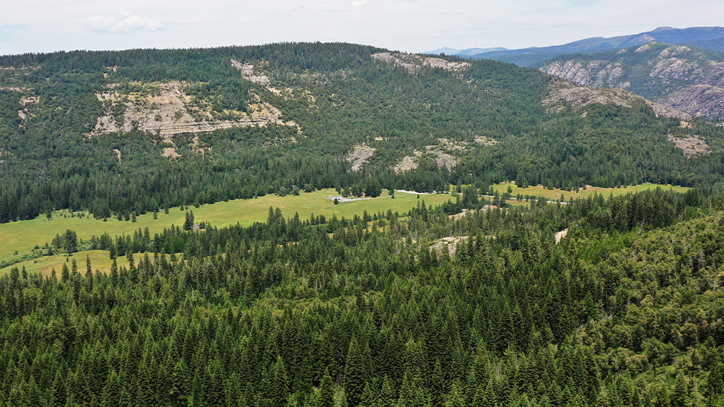 Tahoe_Forestry_EmigrantGap_1040x585 Aerial shot of trees in Emigrant Gap, CA.