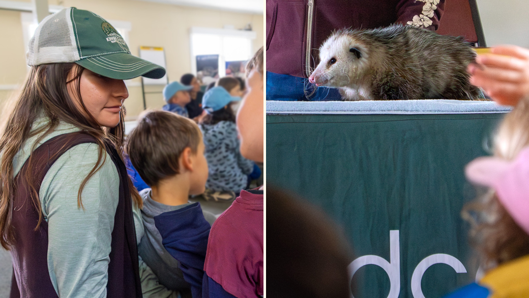 Solano_InternNatureBridge_CamperswithMiaandOpposum_081425_1040x585 On left, Mia Rangel sits with campers during a presentation that featurd an animal, an opposum viewed on the right.