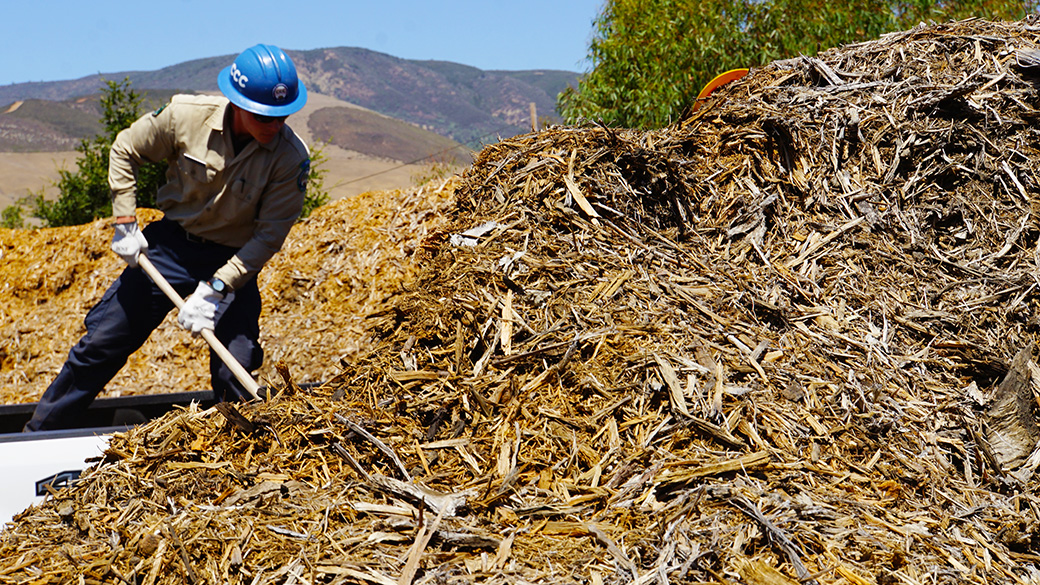 LosPadres_Habitat_CampSLOMulchPile_082025_1040x585 male using shovel in background pushing mulch onto a truck bed. pile of mulch in foreground