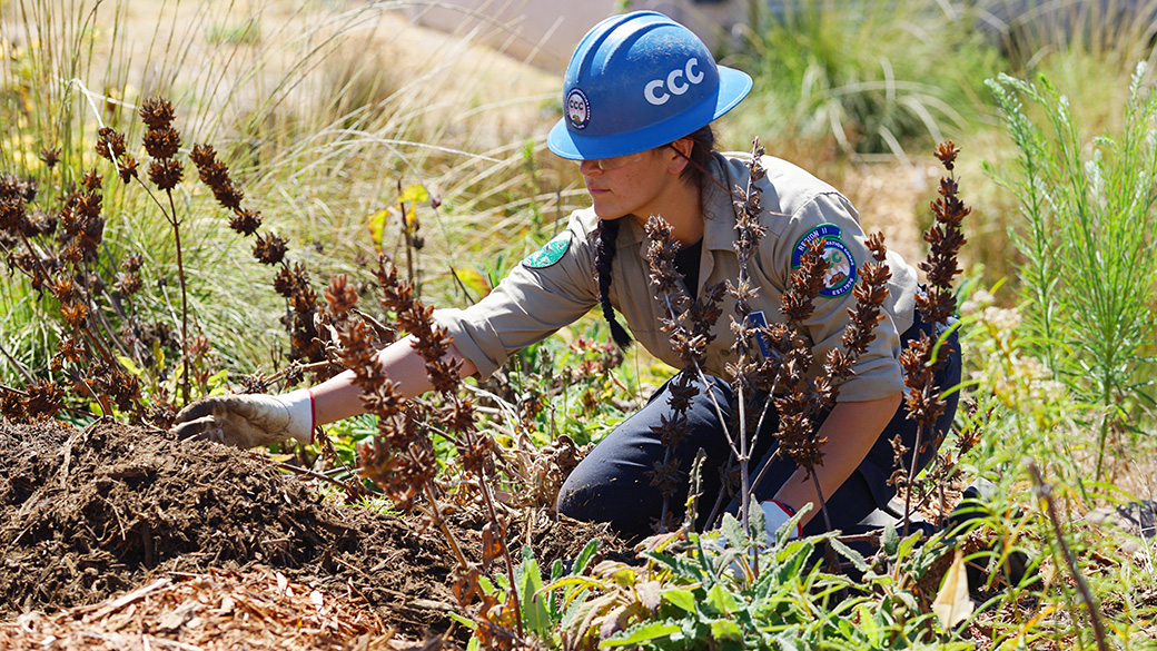 LosPadres_Habitat_NatalieMcLeanMovingMulch_082025_1040x585 female corpsmember on ground shaping mulch around native plants