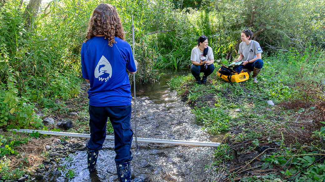 WSP_LosPadresSite_FlowMonitoring_080725_1040x585 female standing in creek holding a stadia rod with two other women on the shore taking notes