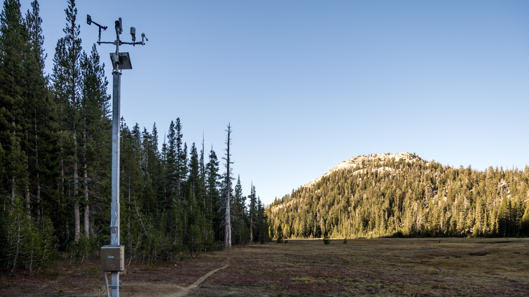 Newly installed Hinge Fold Tilt-Pole in Horse Meadow.