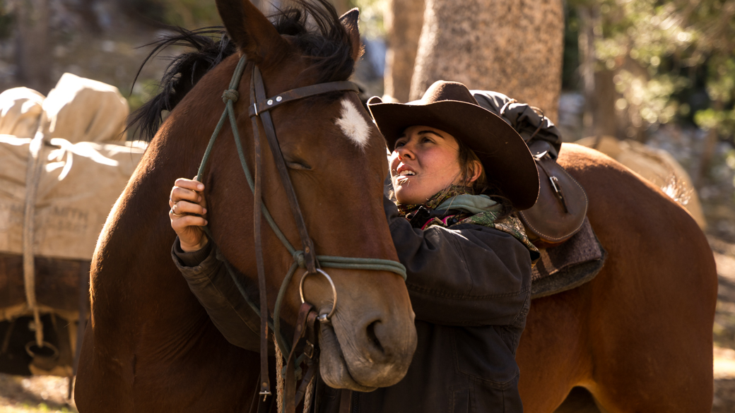 Kennedy Meadows packer harnesses a horse.